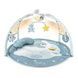 Chicco Центр мягкий игровой развивающий "Enjoy Colours Gym" 9866.2 фото 1