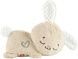 Іграшка нічник Fisher-Price Солодкі сни зайченяти HXG97 HXG97 фото 2