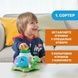 Игрушка-сортер Chicco "Черепаха" 10622 фото 6