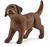 Schleich