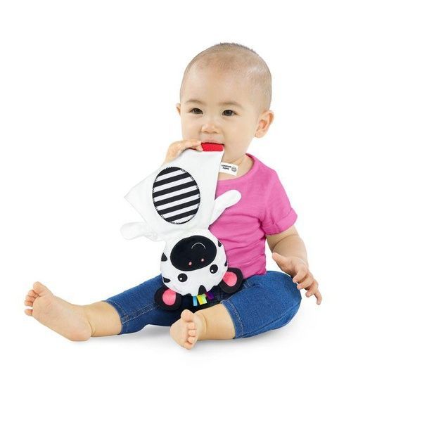 Baby Einstein М'яка іграшка "Zen the Zebra" 12490 фото