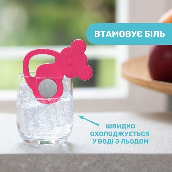 Chicco прорезыватель для зубов "Коала" 28150.10 фото