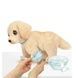 Интерактивная игрушка Moose Little Live Pets Dog Ouchies щенок Лабрадор "Ой болит" со звуками и реакциями 26679 фото 9