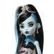 Monster High Scary Sweet Birthday Frankie Stein Страшно-солодкий день народження Френкі Лялька Монстер Хай JBG75 фото 3