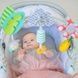 Taf Toys Дуга Для Коляски - Тропический Оркестр 12135 фото 6